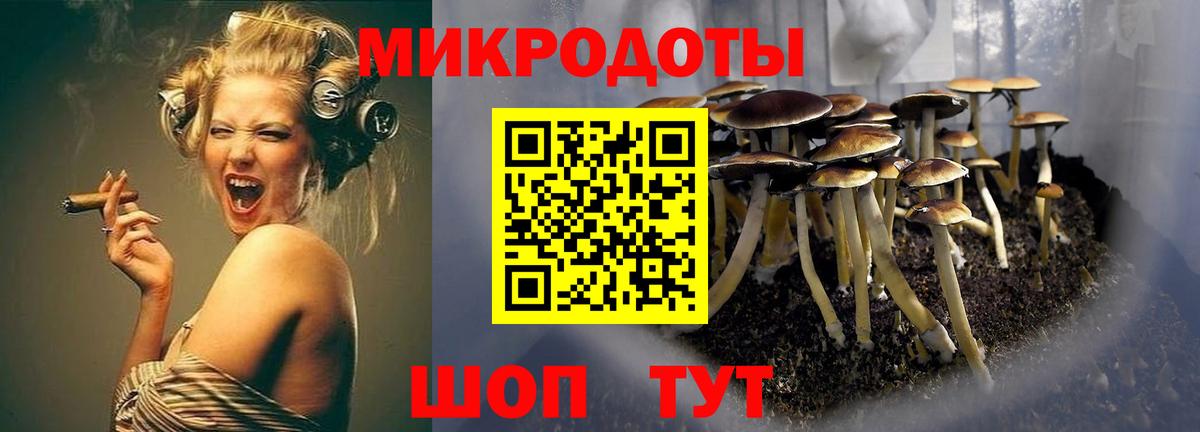 Псилоцибиновые грибы мицелий  Вход с VPN  Галлюциногенные грибы ЛСД  Холмск 
